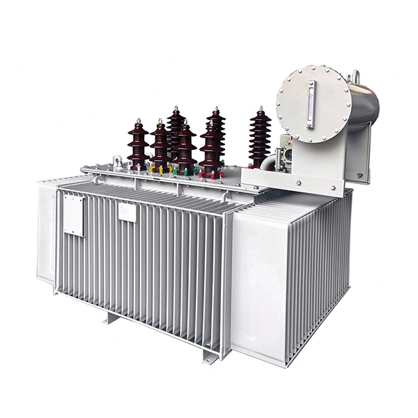 What do you know about the Oil Immersed Transformer?